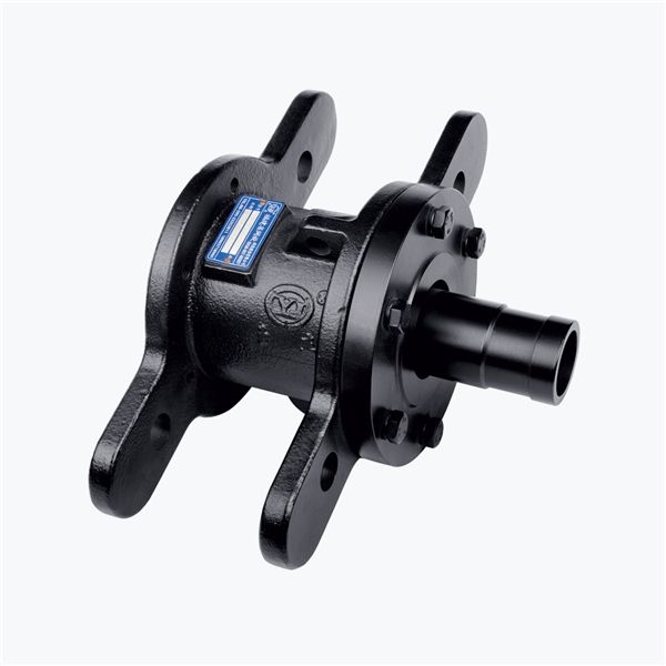 big20224151632337338